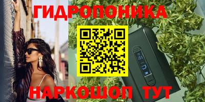 прущие крисы Новодвинск