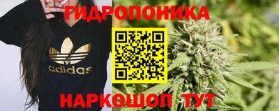 прущие крисы Новодвинск