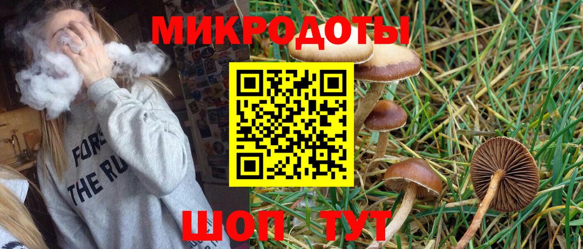 Псилоцибиновые грибы мухоморы Алексеевка
