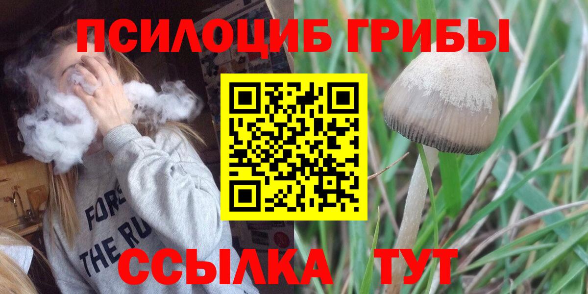 Алексеевка  Псилоцибиновые грибы прущие грибы  Галлюциногенные грибы прущие грибы  цена   Вход с VPN 